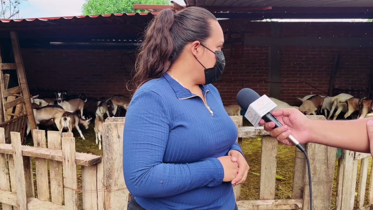 Productores de Leche de Cabra