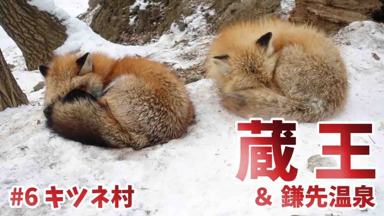 [ 山形県・蔵王温泉 ＆ 宮城県・鎌先温泉 2泊3日の旅 ]　#6 蔵王キツネ村 （ Zao Fox Village ） 編です♪　～ JALどこかにマイル第3弾 ～