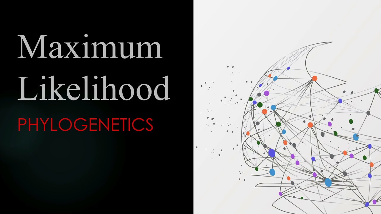 Phylogenetics - Maximum Likelihood Method