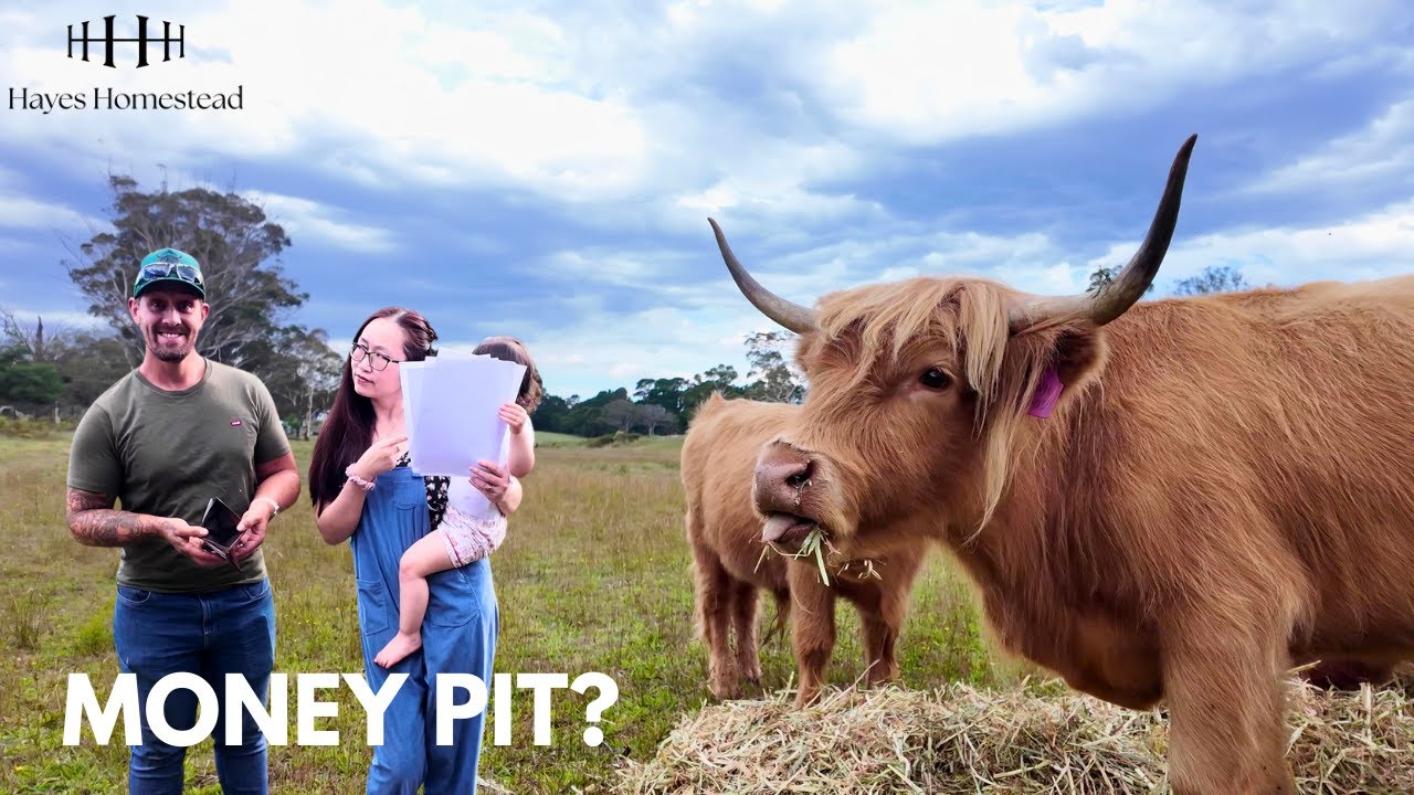 Farm life REALITY &ndash; What homesteading with LIVESTOCK actually looks like