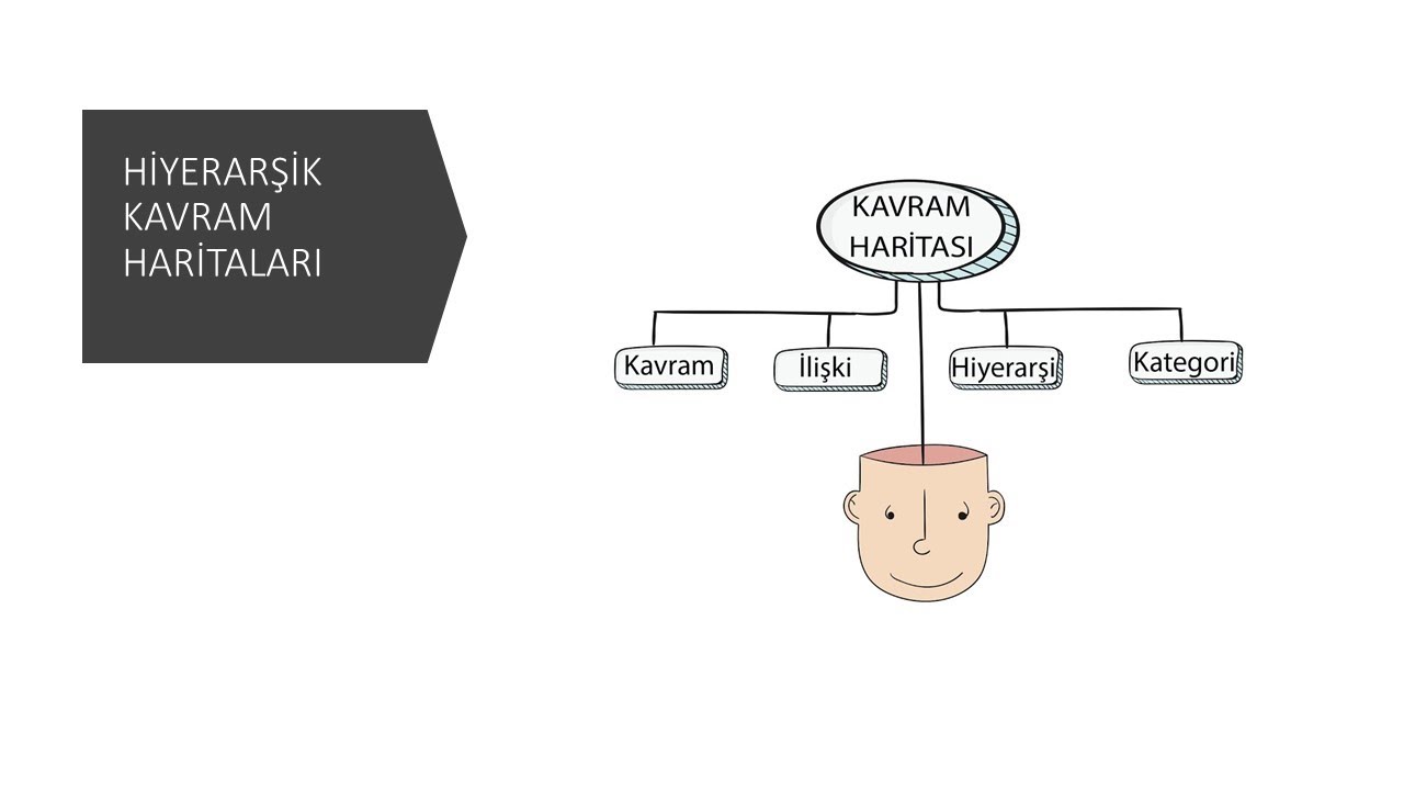 0019 HİYERARŞİK KAVRAM HARİTASI