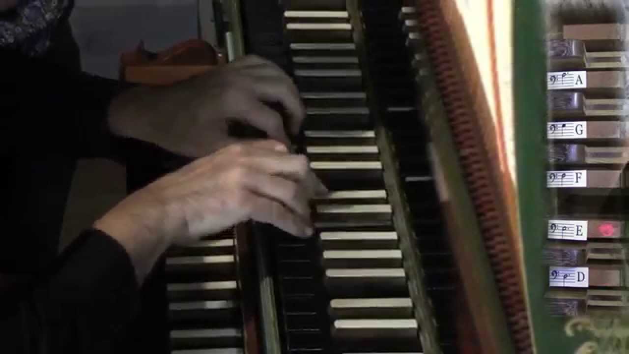 Claudio Brizi plays Ciacona in d by Johann Pachelbel