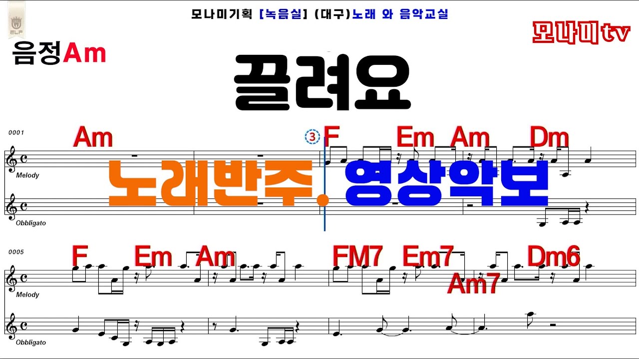 끌려요 - 요요미   모나미tv