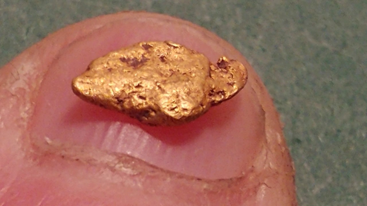 Finding my first Gold Picker ever!
