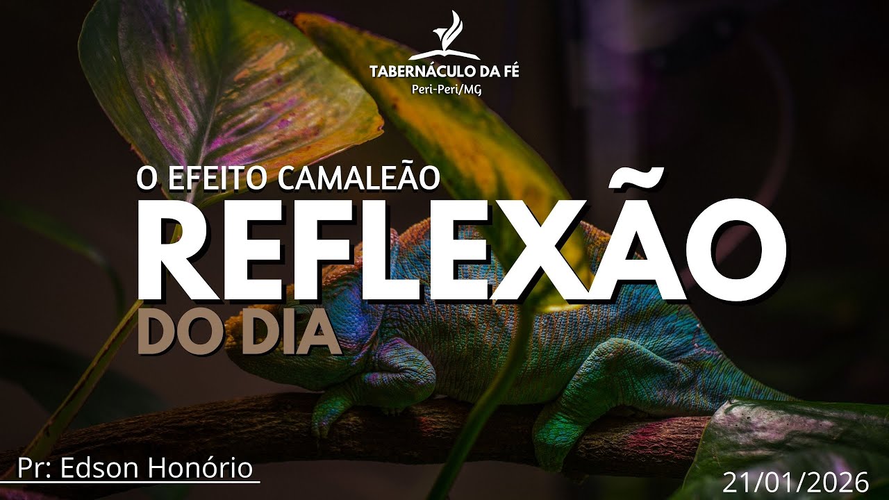 Reflexão do Dia | O EFEITO CAMALEÃO