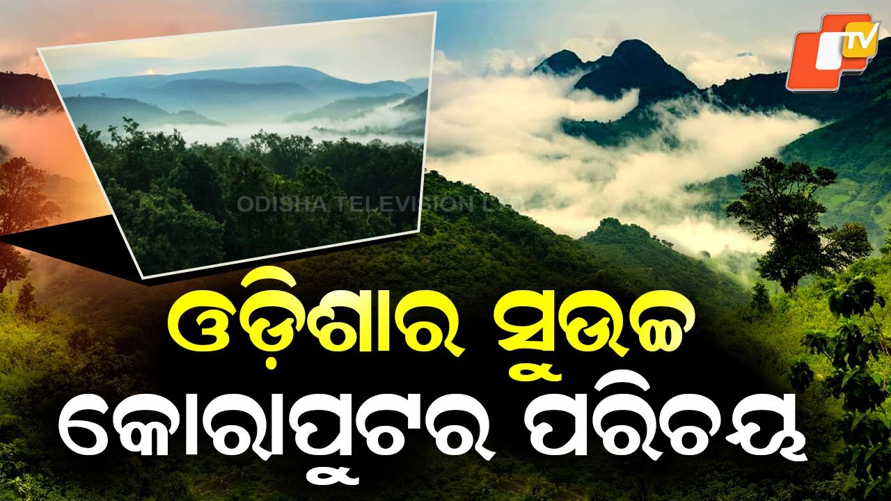 Special Story: Koraput’s Misty Deomali Hills Draw Tourists, Locals Demand Eco-Tour Boost