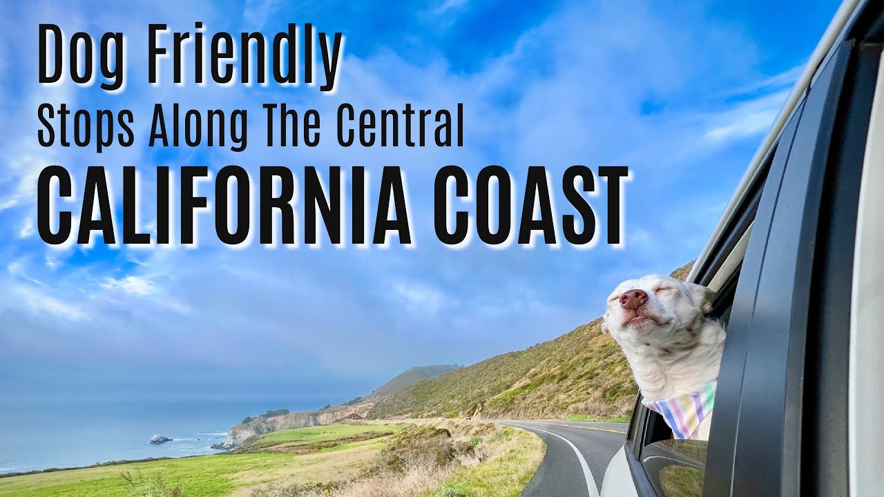 Central California Coast + Solvang with Dogs