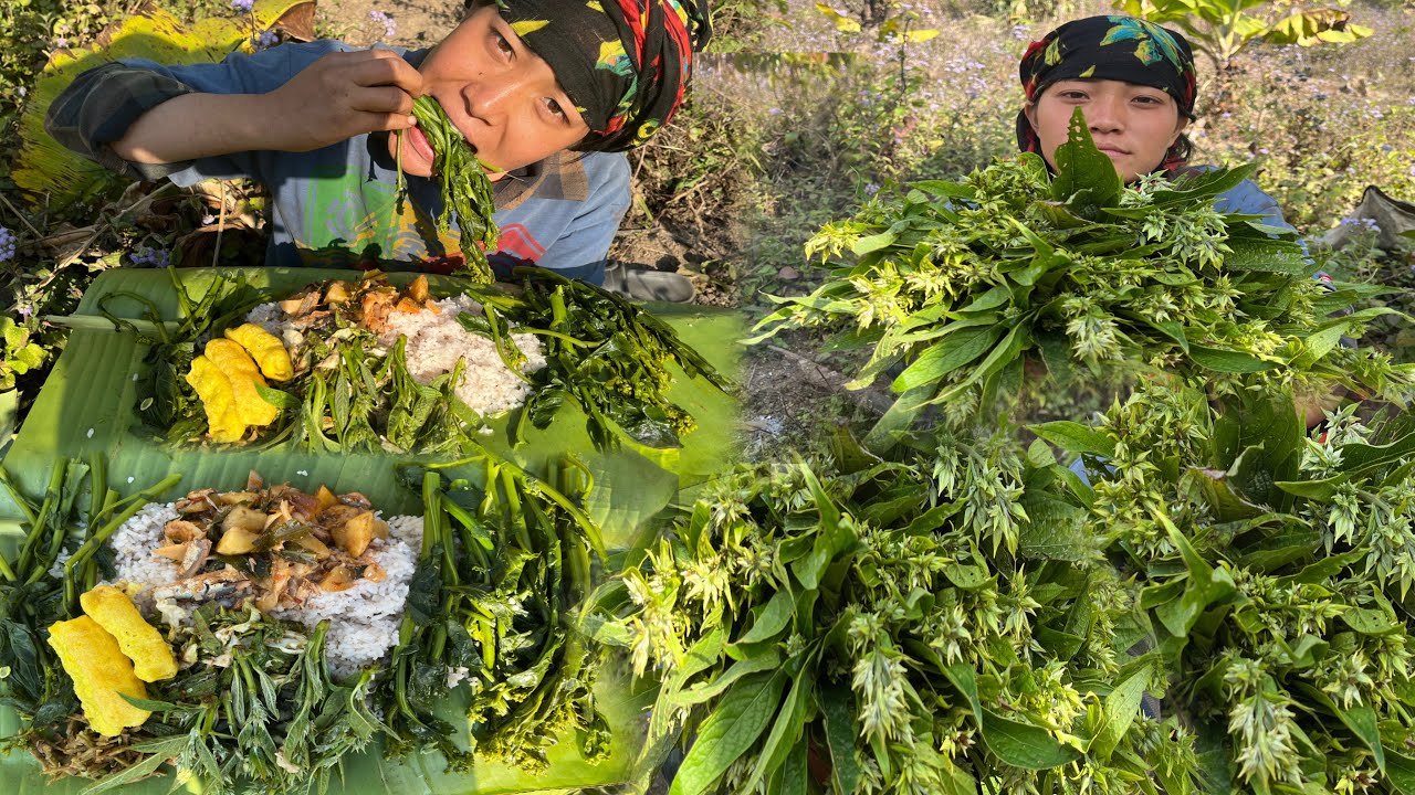 Farm da phangba mathel oina chare ching gi hawaimaton chingju ga