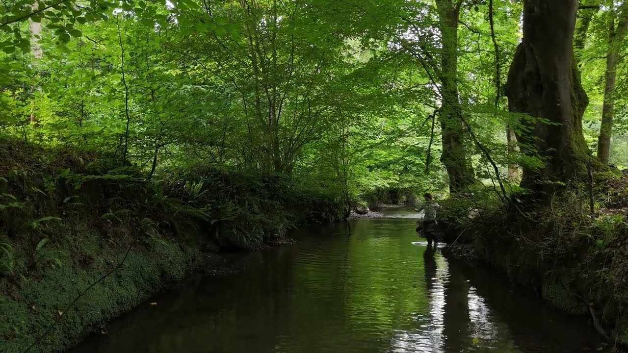 Ecology reporting, and how it helps us at Dunsany