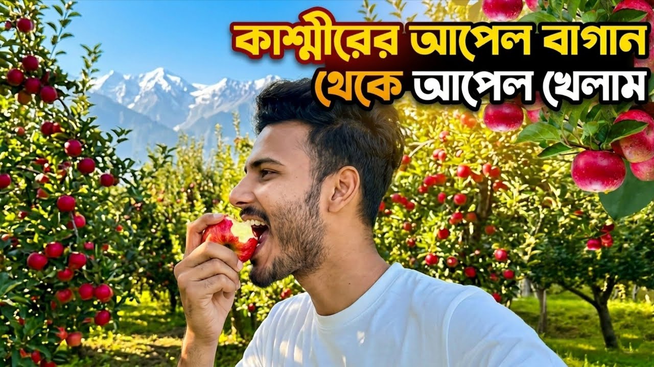 Apple Garden In Kashmir | কাশ্মীরের বিখ্যাত আপেল বাগান | কেজি মাত্র ২০ টাকা 😍