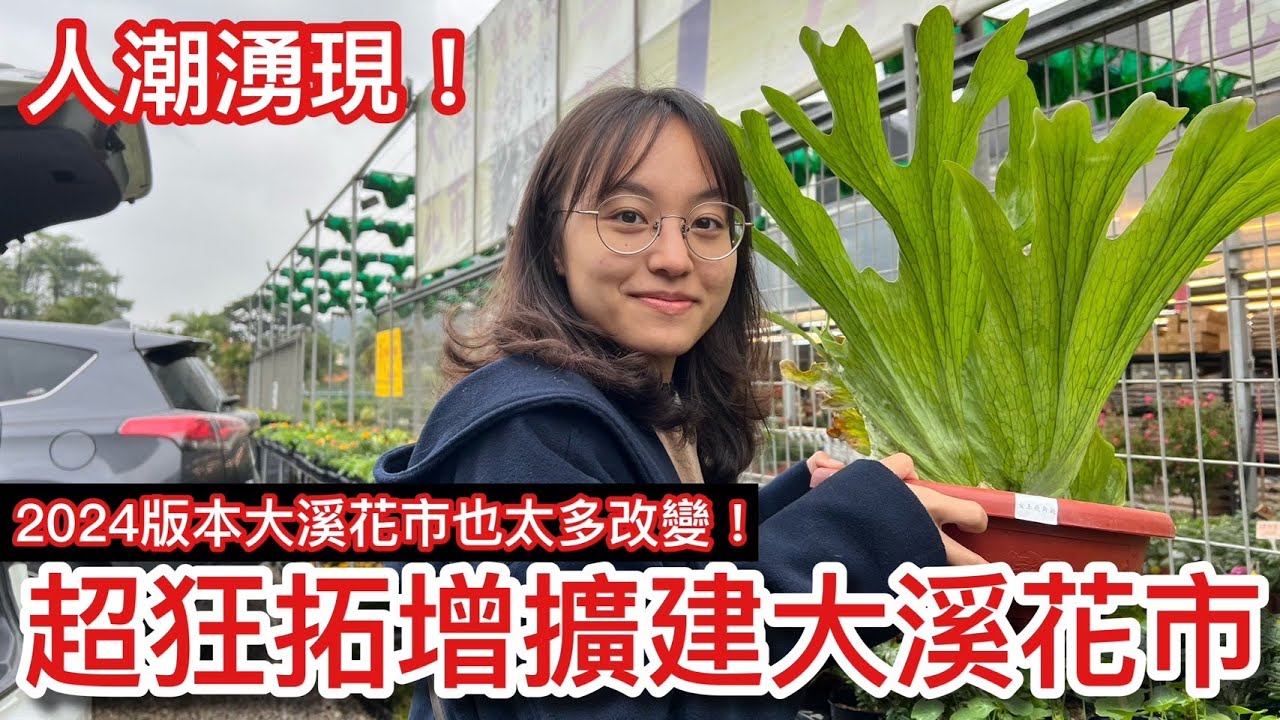 人潮爆滿！大溪花市變得超豐富令人無法想像？！第一次「開箱」新家驚喜植物們！【植物百科】