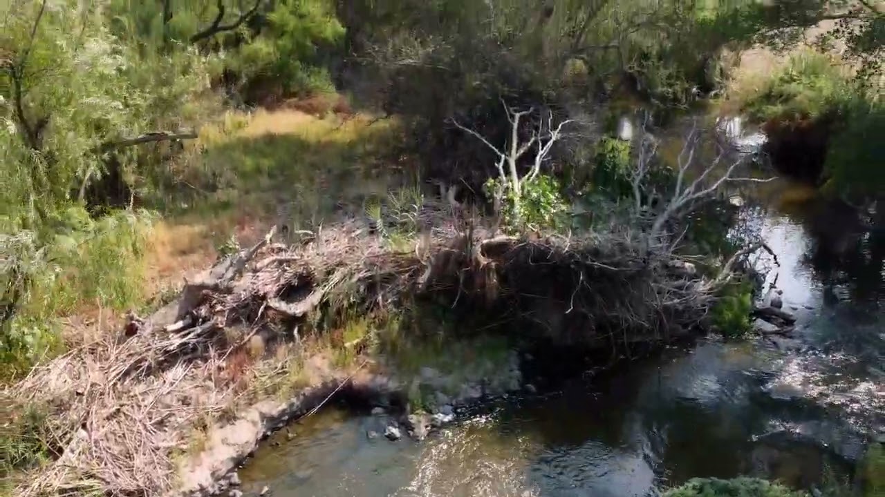 RIO AMECA, LOS MORILLOS. JALISCO