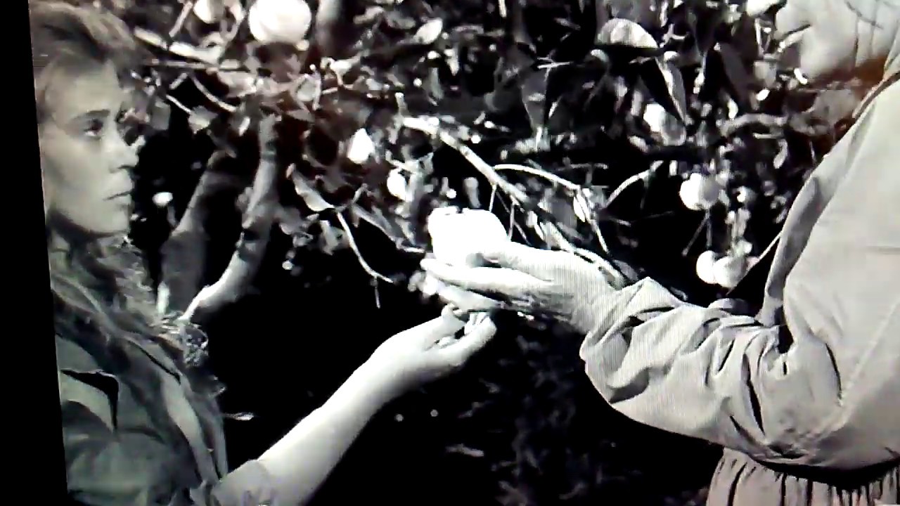 Twilight Zone-Probe 7 Over and Out Ending
