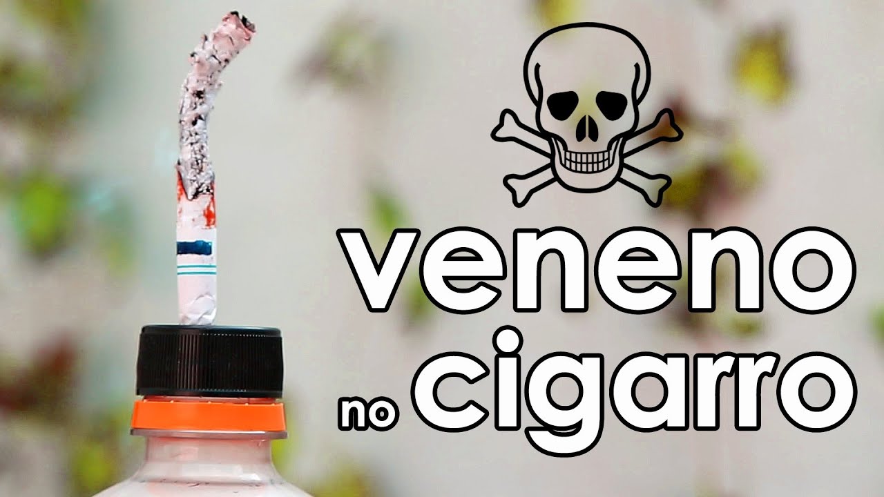 Conheça os venenos do cigarro (EXPERIMENTOS de biologia)