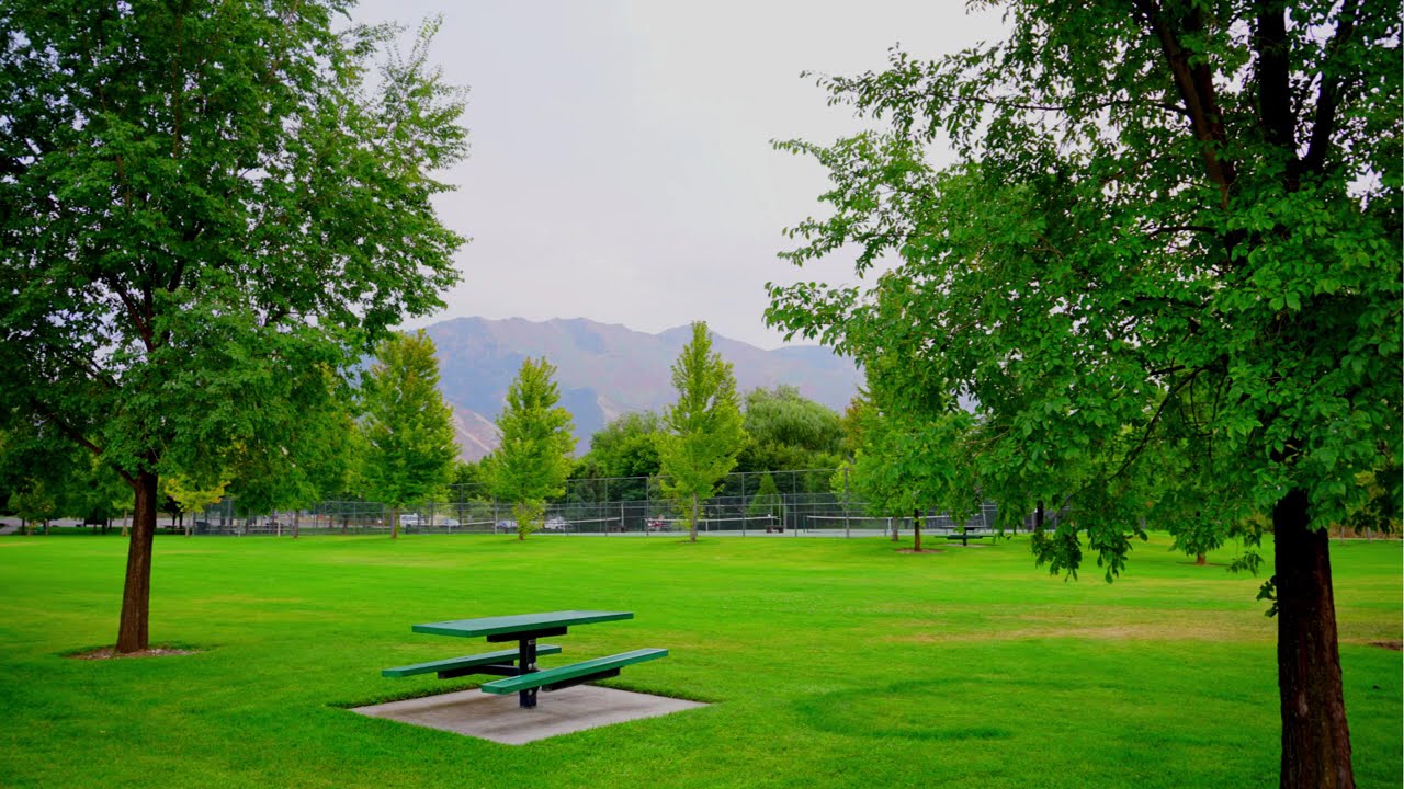 Springville Fall pt 2 2020