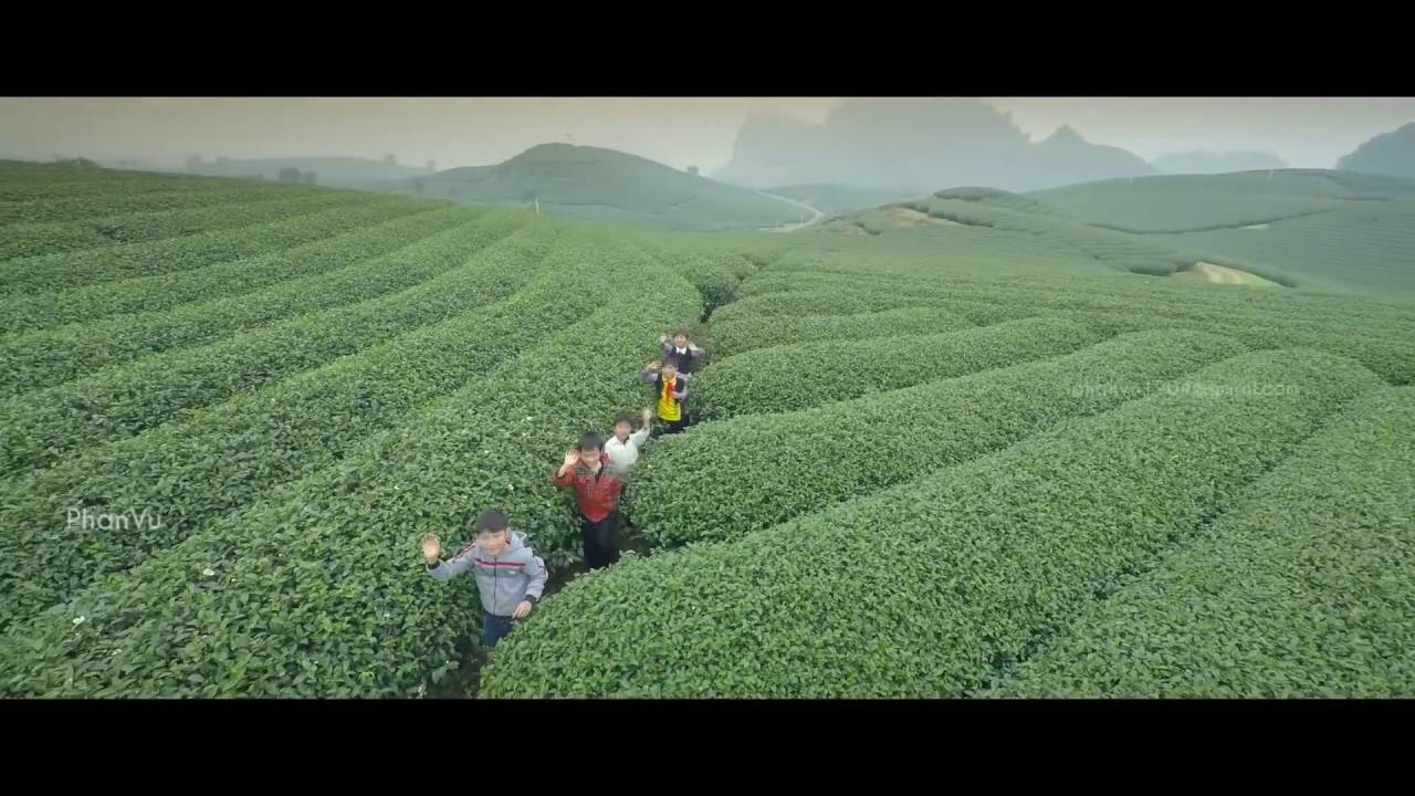 Moc Chau Son La Vietnam  Flycam Vietnam Best Travel