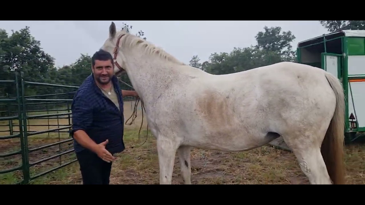 Autóctonos,otro trato, se llama Gitana.Esta es para mi hija Inés.