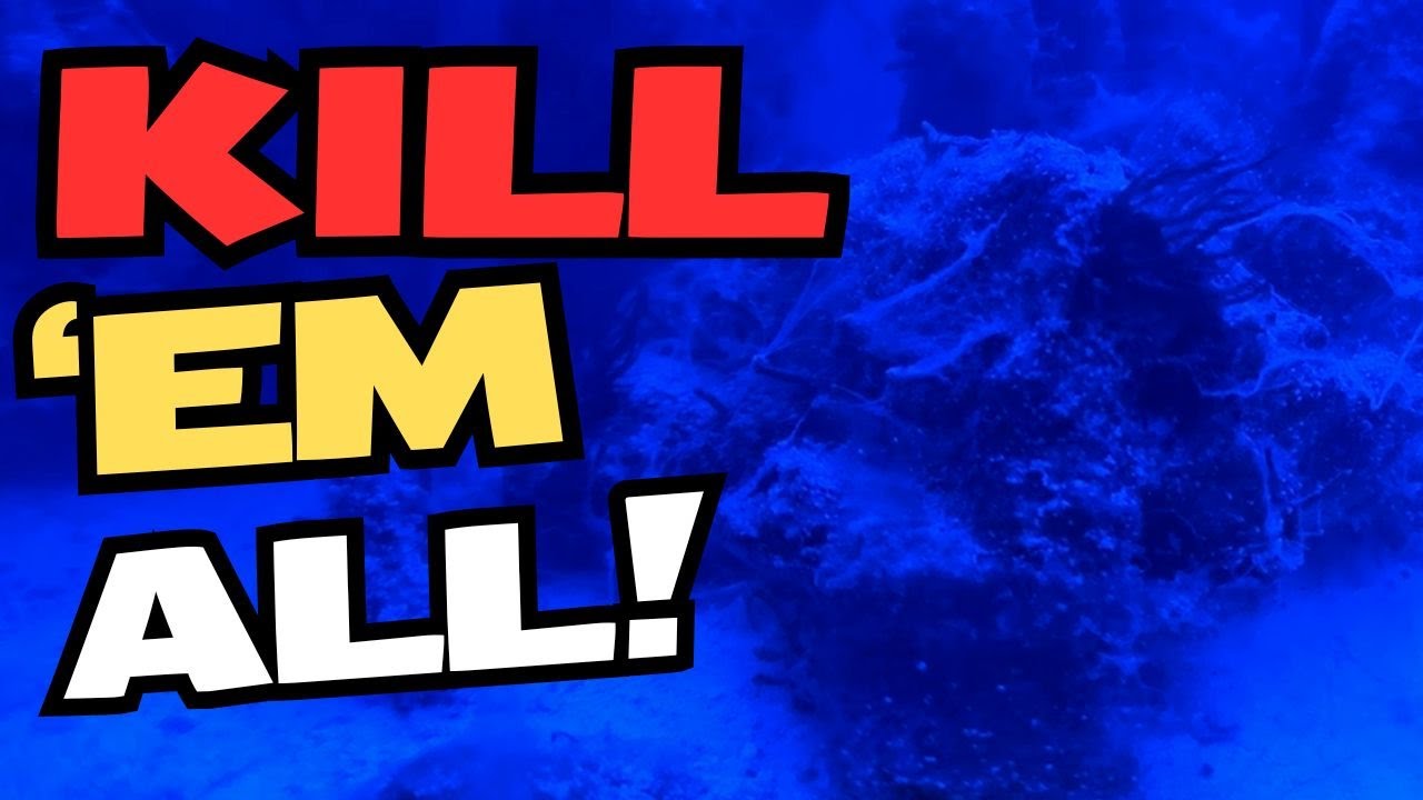 How To Get Rid of Vermetid Snails in your Saltwater Aquarium