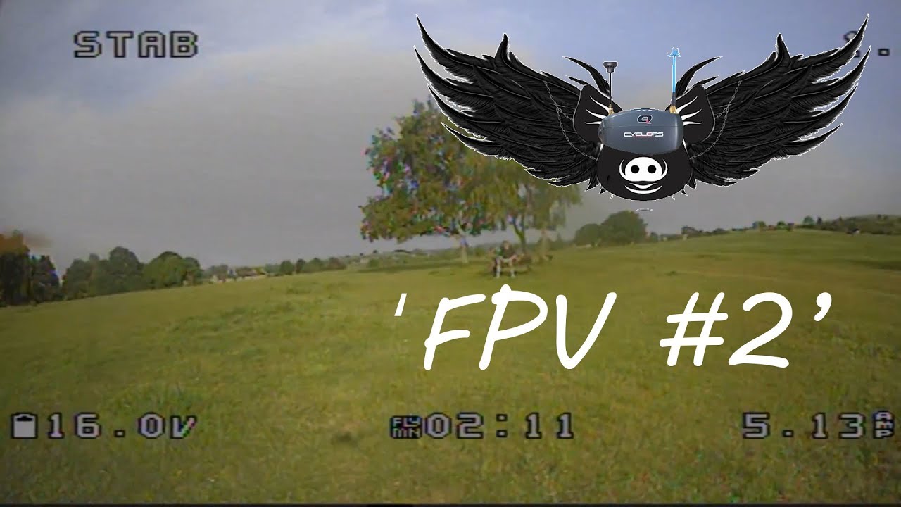 Puda Chameleon - dvr footage of 2nd real fpv session