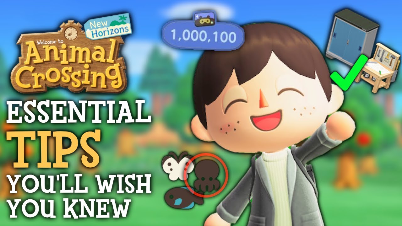 Must Know Tips I Wish I Knew Sooner - Animal Crossing?New Horizons