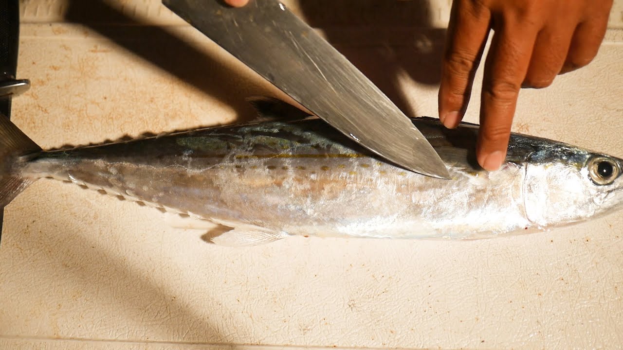 Catch and Clean - Reef Relief Fishing The Florida Keys