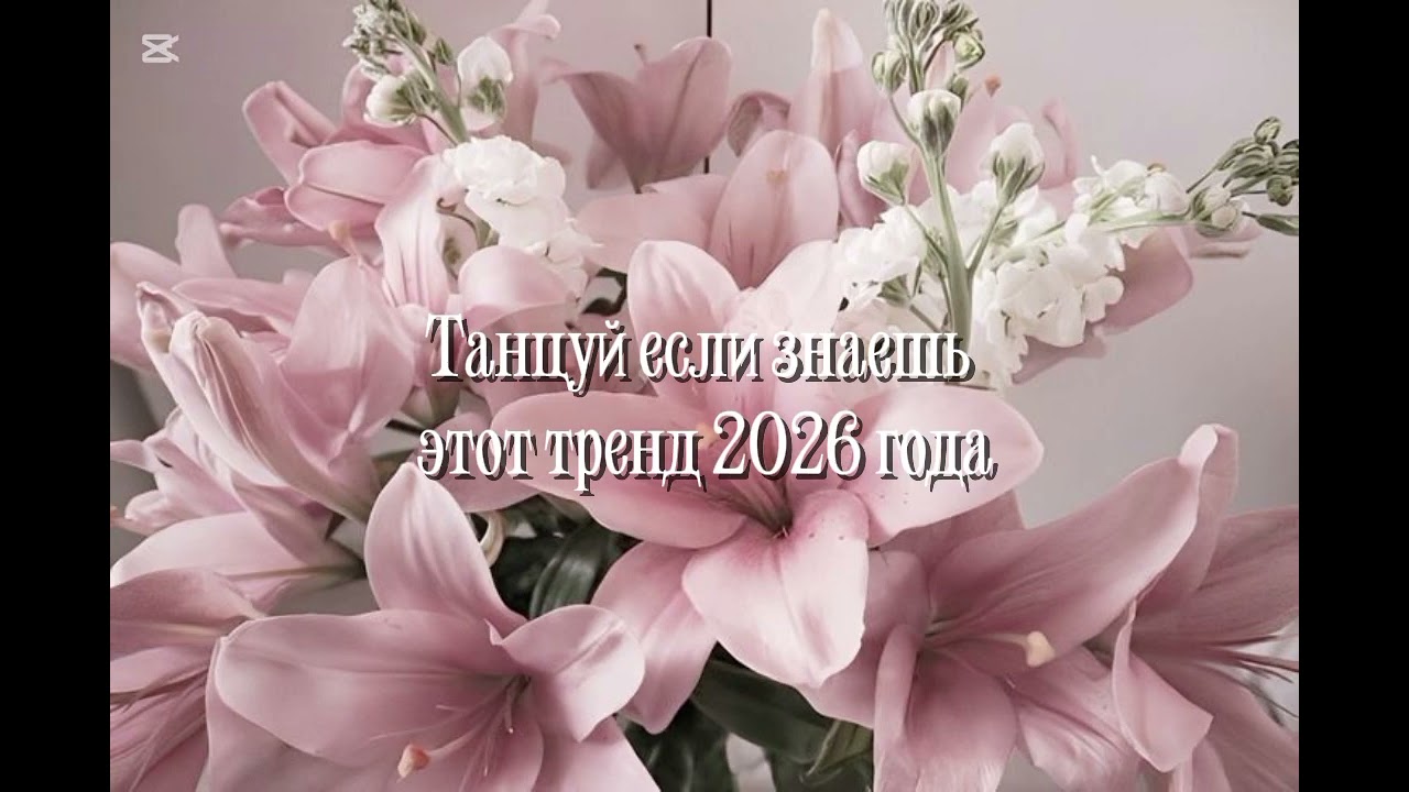 Танцуй если знаешь этот тренд🐾|извините что так мало(