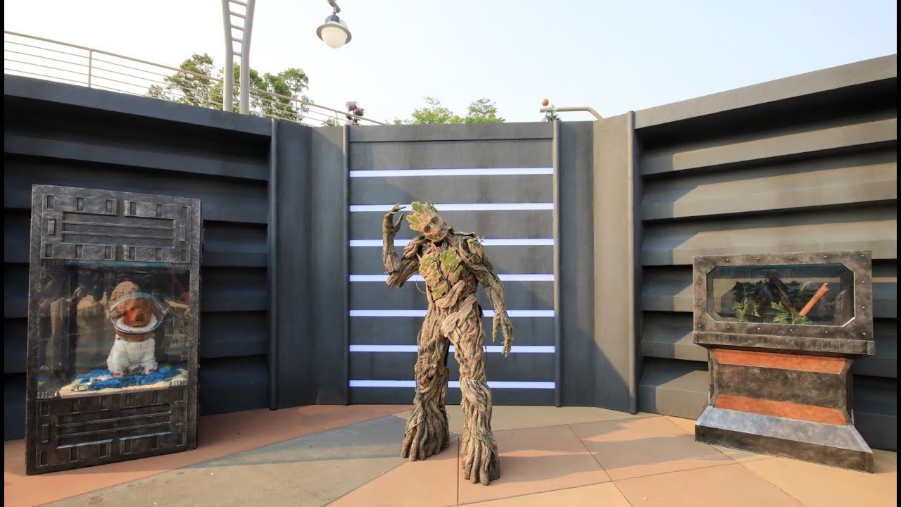 Groot Meet and Greet at Hong Kong Disneyland丨樹人現身明日世界@香港迪士尼樂園