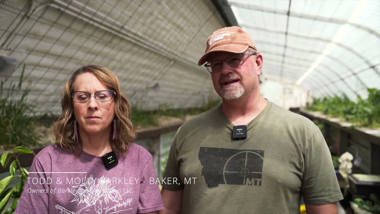 Barkley's Homegrown LLC - a greenhouse in the snow!