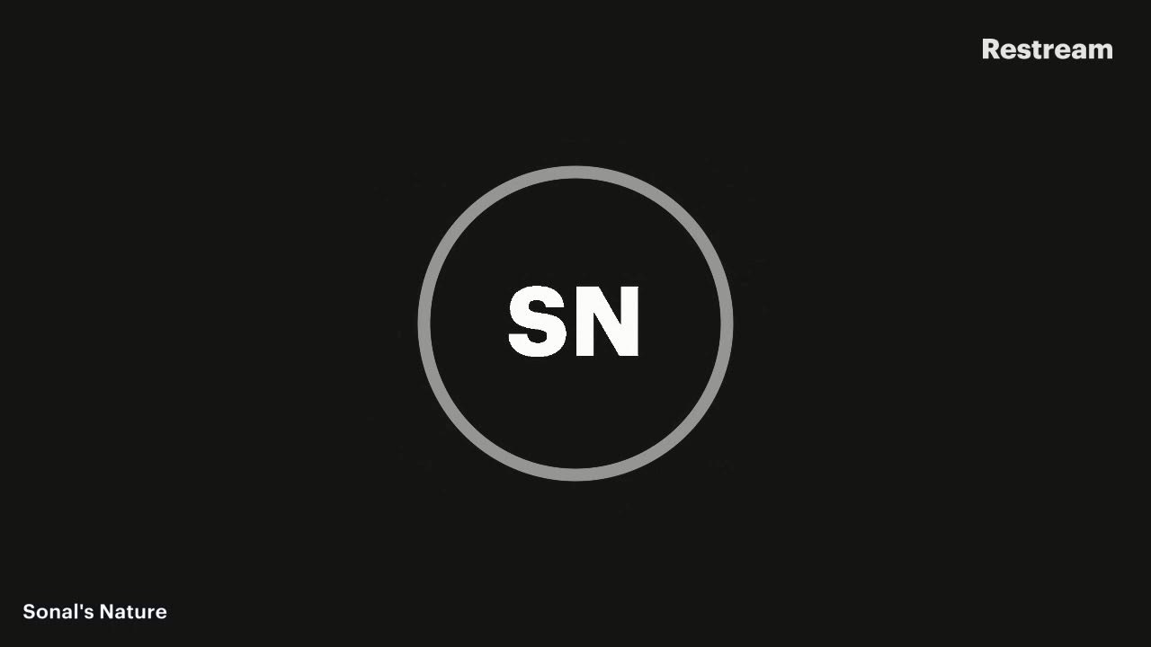 Live with Restream, January 18