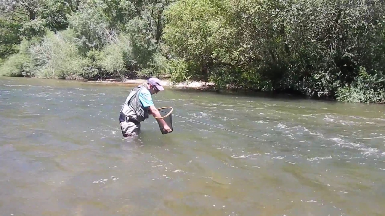 Probando la caña Draga de Leralta RODS - David Gutiérrez