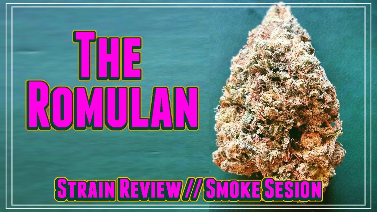 The Romulan || Strain Review & Smoke Session