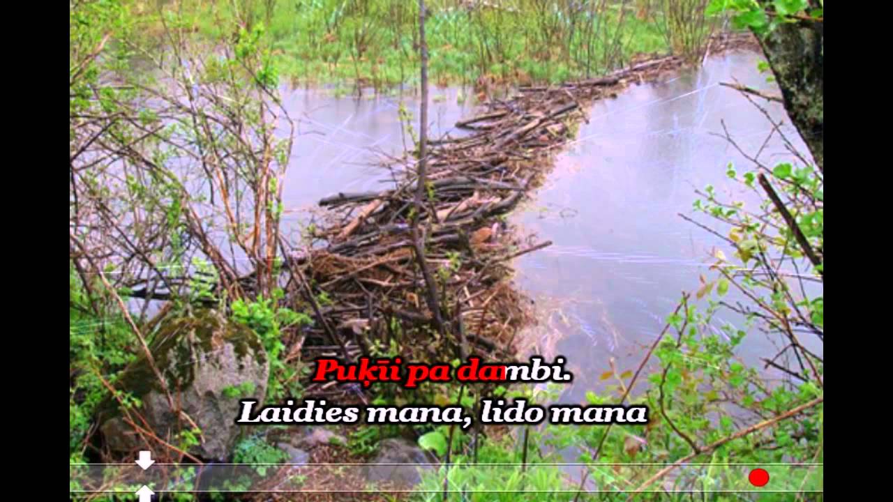 puķīti pa dambi (karaoke)