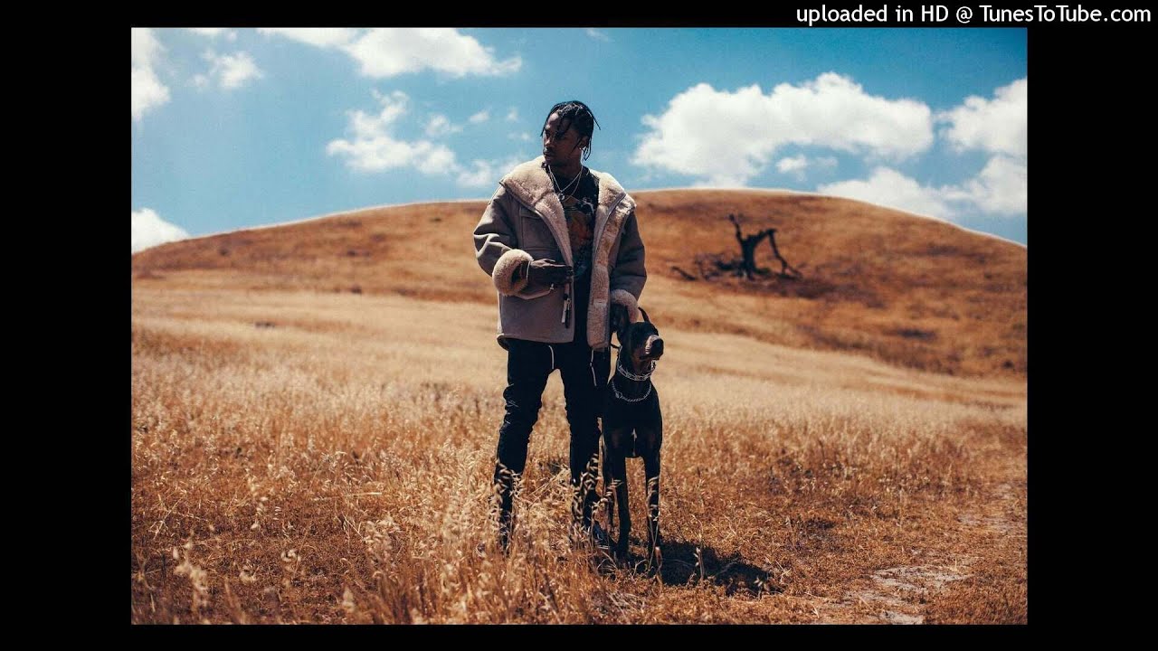 TRAVIS SCOTT - GOOSEBUMPS REMIX