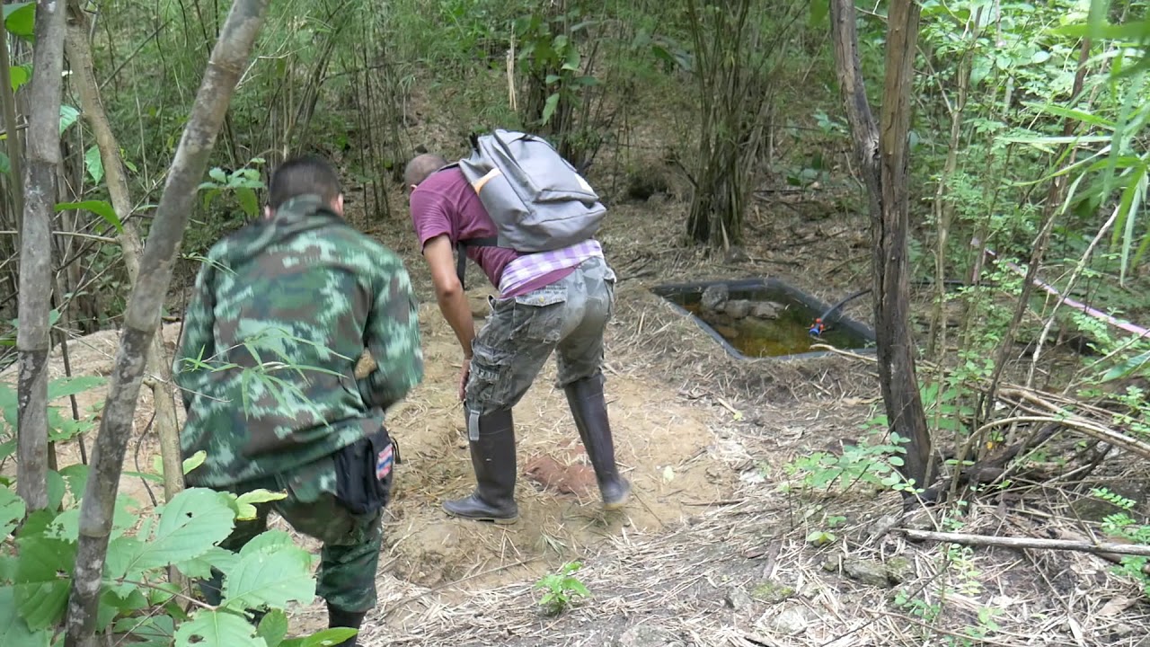 การทำโป่งเทียมและติดตั้งกล้อง Camera Trap บริเวณอุทยานธรรมชาติวิทยาฯ สวนผึ้ง ราชบุรี