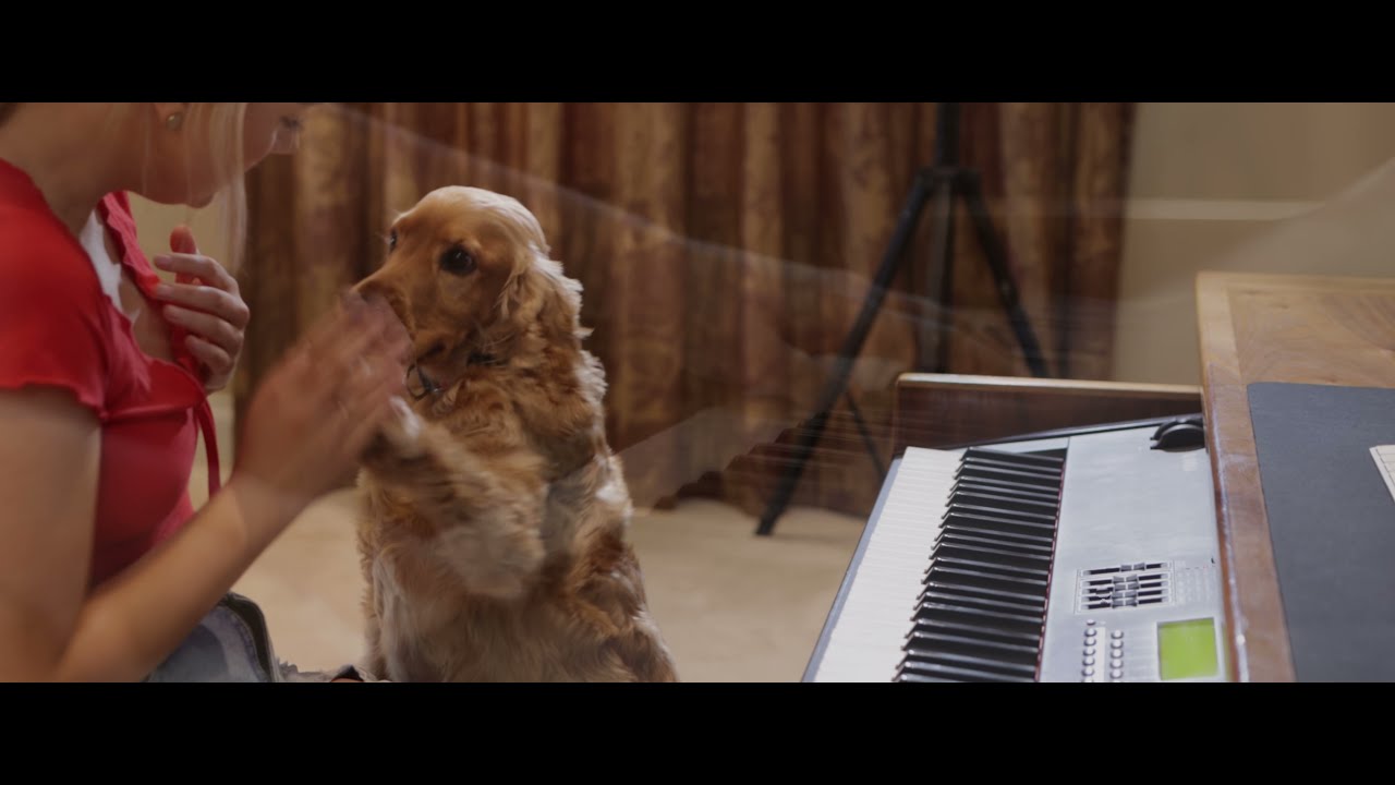 Can You Feel The Love Tonight - The Lion King (Piano Cover)