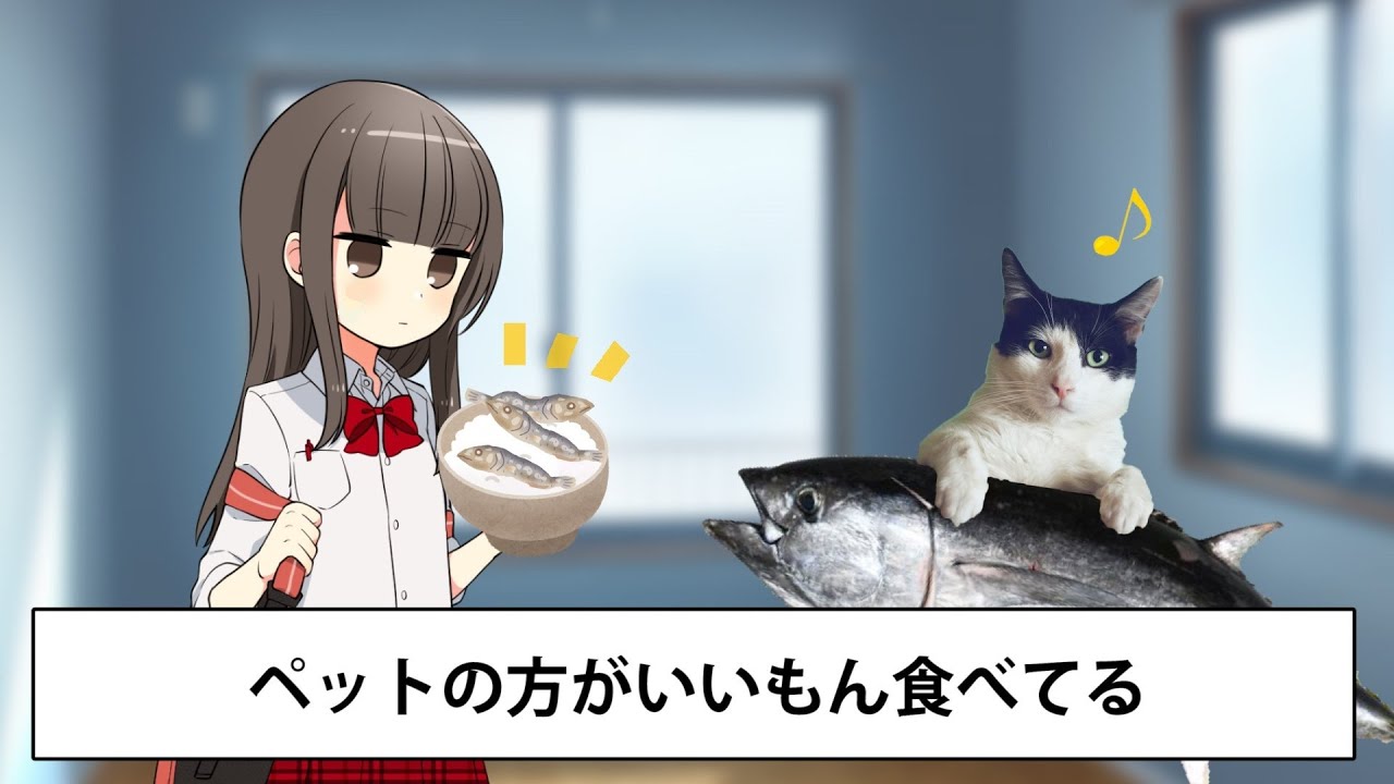 ペットあるある超高速41連発！！【ツッコミ】