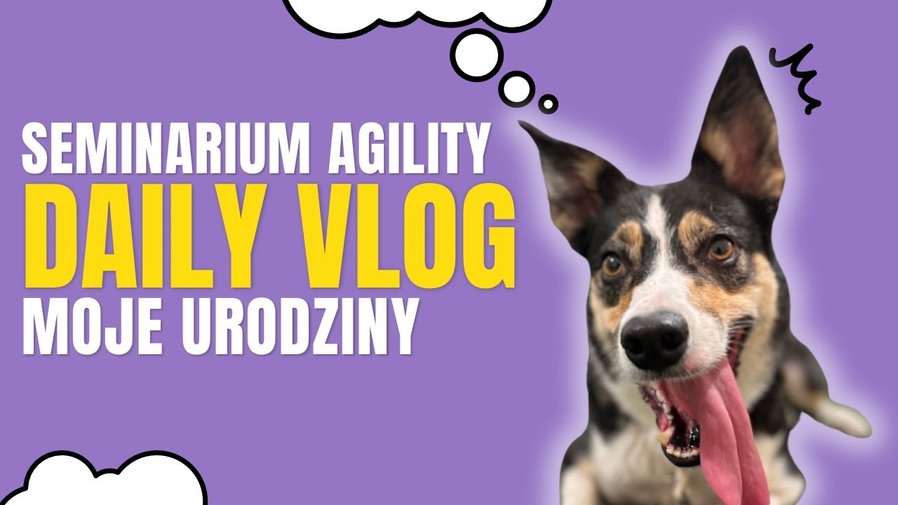 DAILY VLOG: MOJE URODZINY - SEMINARIUM AGILITY | PAULINA I PSY