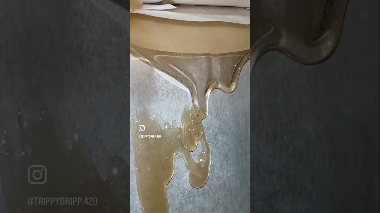 Hash rosin #hashrosin #cannabiseducation #cannabispodcast #stonersonly #cbdoils #stonersociety