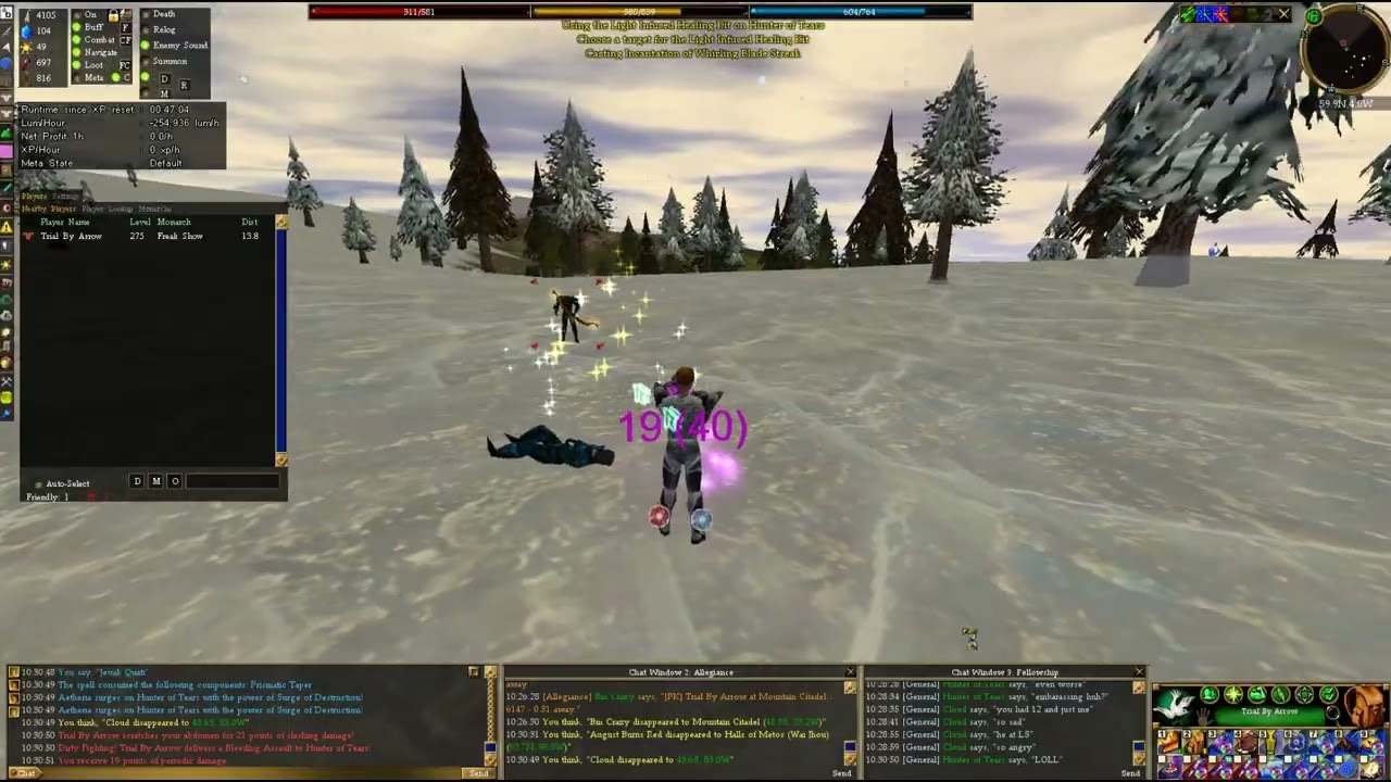 Typical Freak Shows - Asheron's Call Doctide 2v1 Fight
