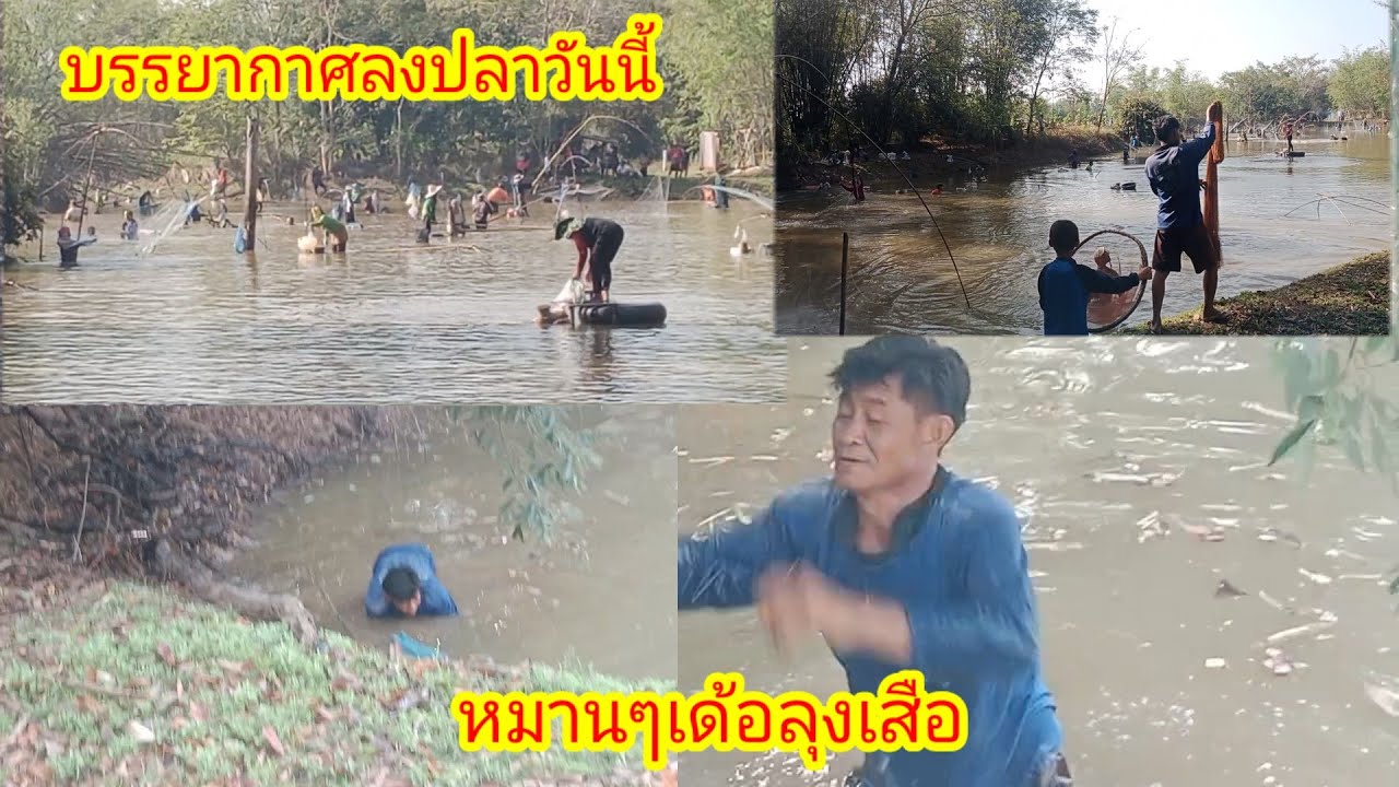 มาลุ้นลุงเสือหว่านแห!!บรรยากาศลงปลา!!วันนี้จะมีเฮใหม