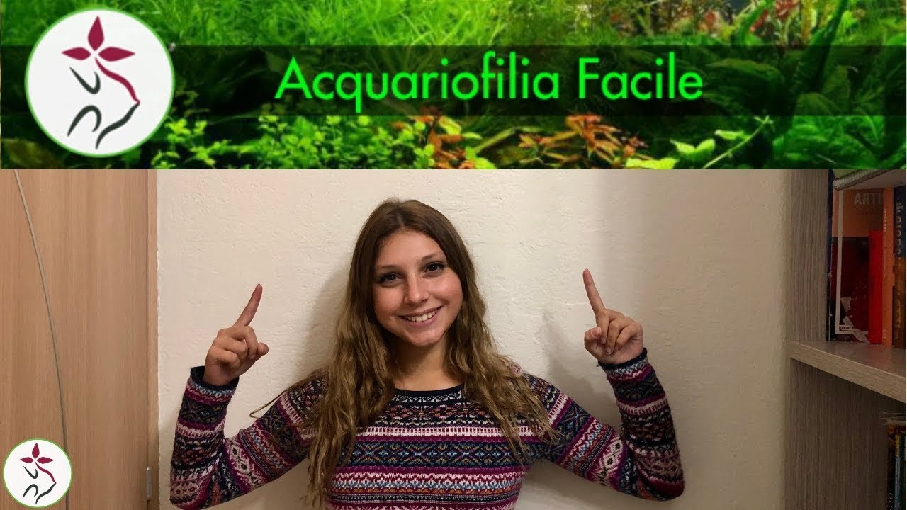 I PRIMI PASSI PER UN ACQUARIO FACILE (parte 1)