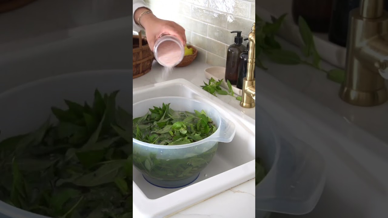 What to do with too much Mint