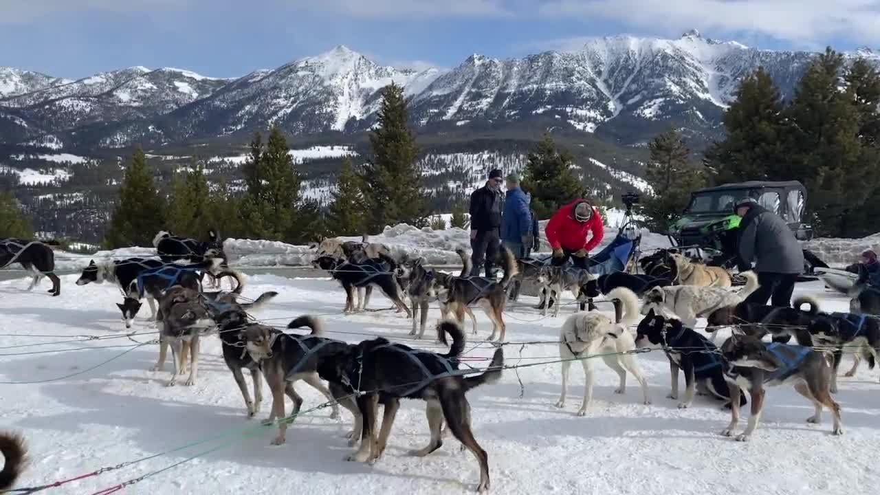 Spirit of the North Sled Dog Adventures offers a howling good time in Big Sky