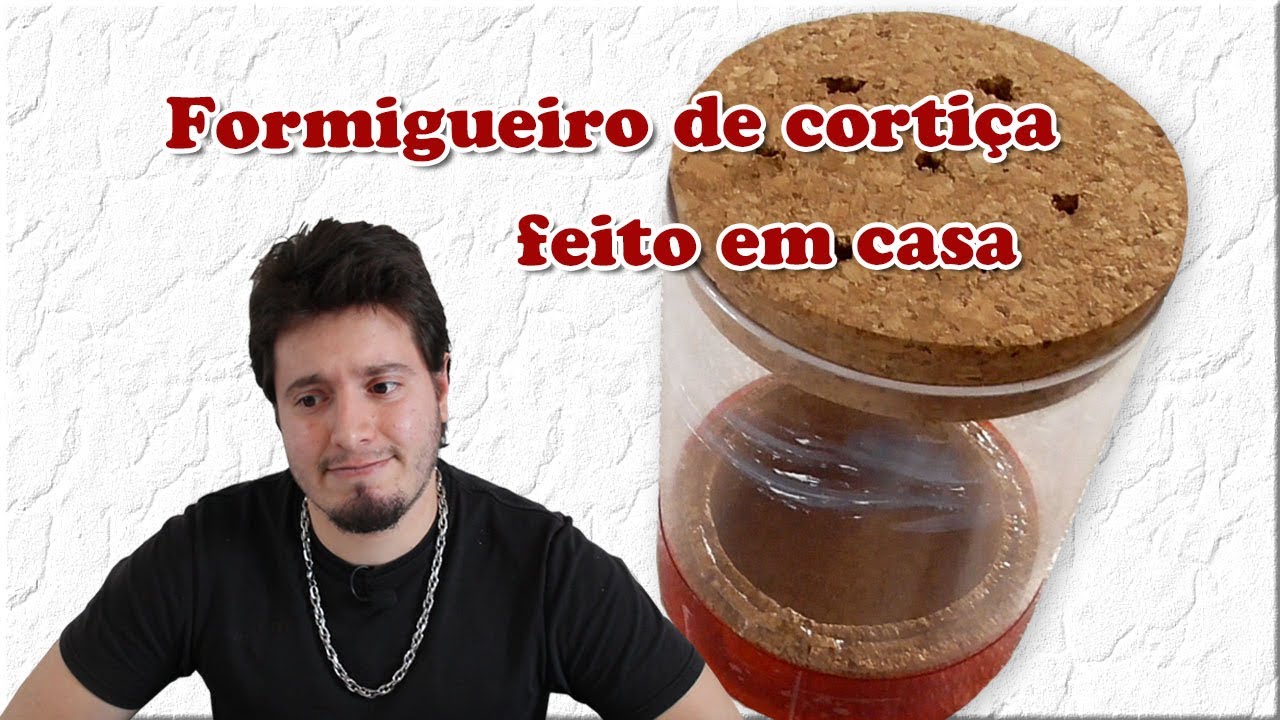 Tutorial para fazer um formigueiro com cortiça fácil e prático.