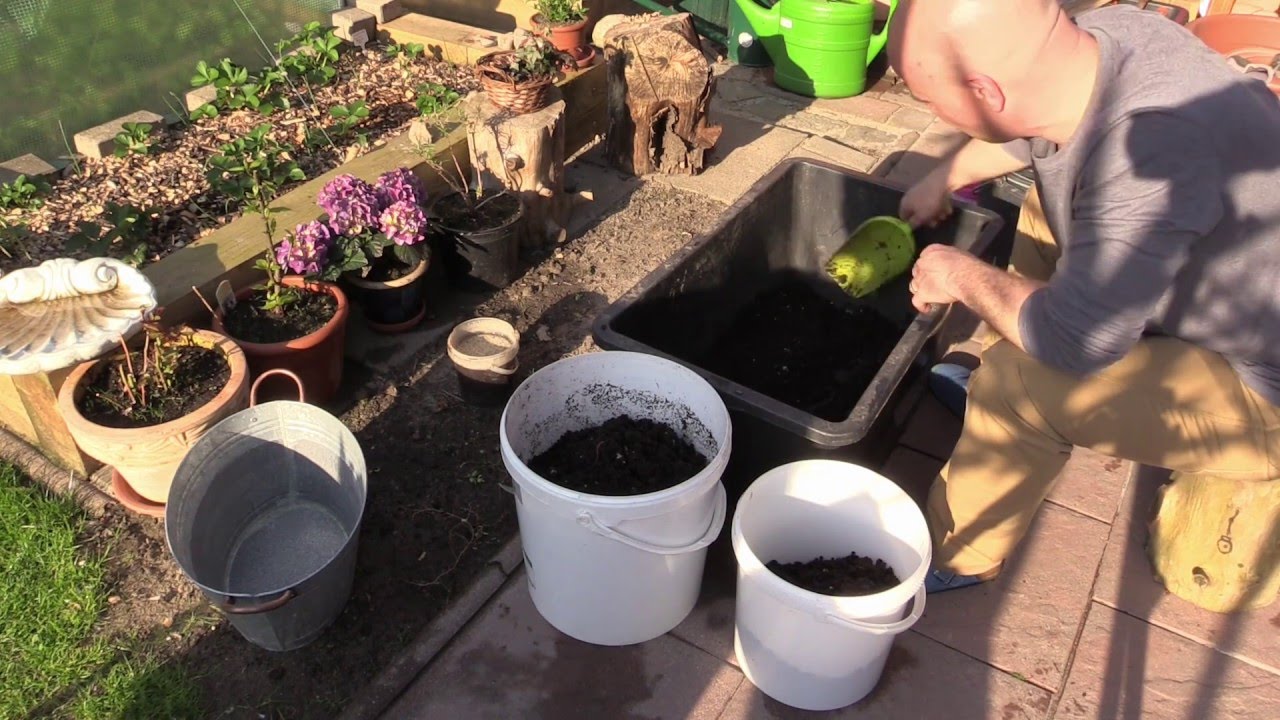 Worm Café, Update 02 2016 Erste Humus-Ernte