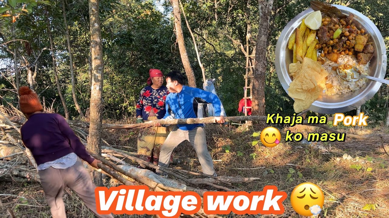 Village work❤️Aaja daura ni bokiyo ghass ni katiyo sathi haru uff😮‍💨 Pork meat😋