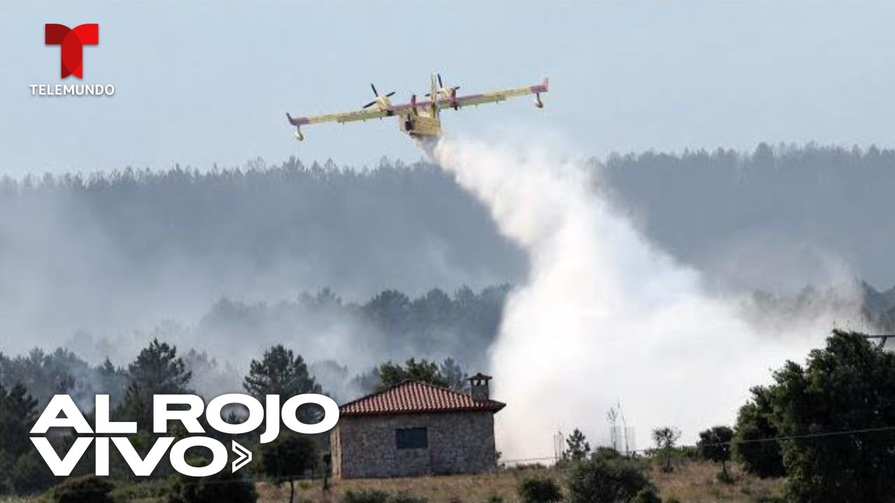 Imágenes de incendio forestal en el oeste de España | Al Rojo Vivo | Telemundo