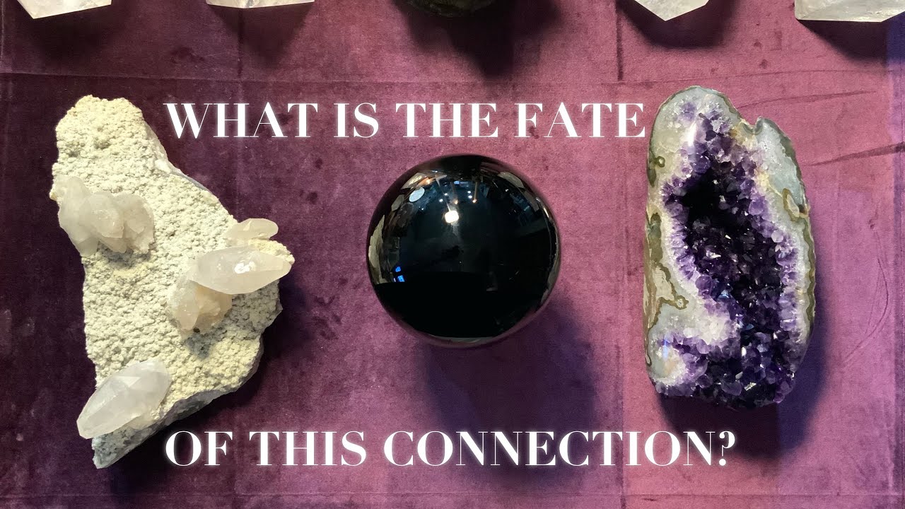🌸💕What is the FATE & FUTURE of this CONNECTION? 💗 Pick a Card Tarot Oracle Love Reading💕🌸