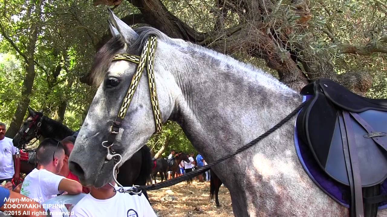 ΙΠΠΙΚΟΣ ΣΥΛΛΟΓΟΣ ΝΟΜΟΥ ΡΕΘΥΜΝΗΣ 'ΑΓΙΟΣ ΓΕΩΡΓΙΟΣ' (Επίδειξη Γιωργαλίδικων Αλόγων) /