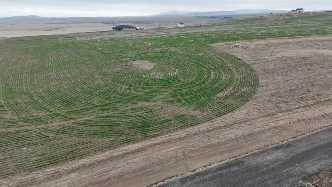 Video of the house site.
